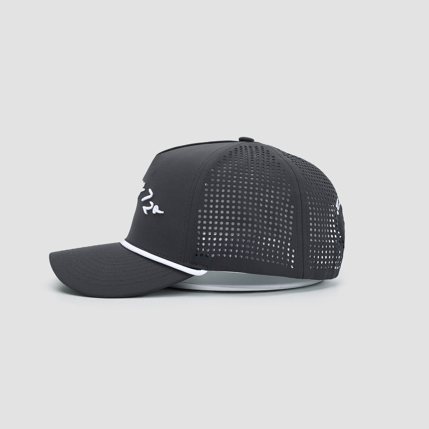 Signature Script Cap (Grey)